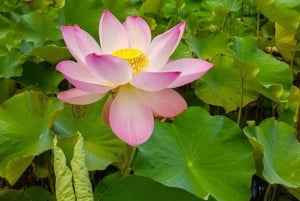 Яркий север Маврикия: культура, магазины и пляжный отдых