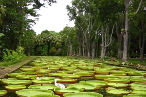 Яркий север Маврикия: культура, магазины и пляжный отдых