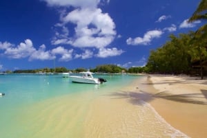 Яркий север Маврикия: культура, магазины и пляжный отдых