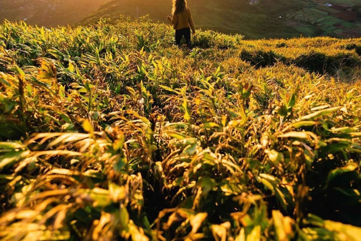 Vieraile koko Mauritiuksella päivässä