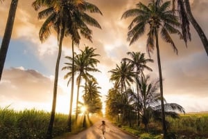 Visit Entire Mauritius In A Day