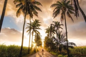 Vieraile koko Mauritiuksella päivässä