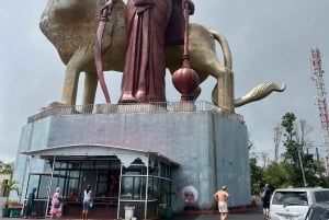 Посетите южную часть Маврикия