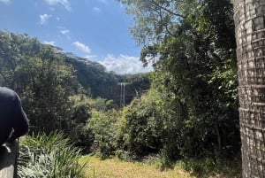 Посетите южную часть Маврикия