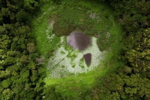 Vulcão, lago, floresta, plantação de chá e almoço de 3 pratos