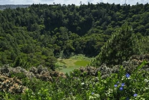 Vulcão, lago, floresta, plantação de chá e almoço de 3 pratos