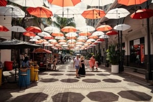 Прогулка и знакомство с городом Порт-Луи: пешеходная экскурсия с гидом