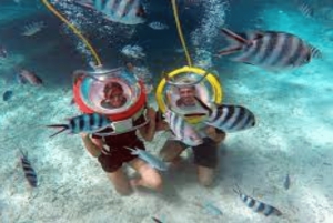 Marcher sous la mer à l'île Maurice avec transfert