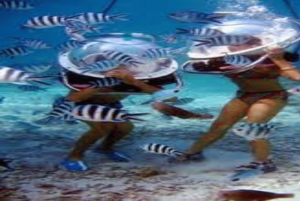 Marcher sous la mer à l'île Maurice avec transfert