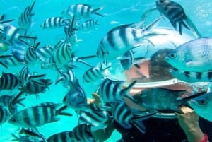 Marcher sous la mer à l'île Maurice avec transfert