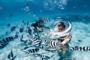 Marcher sous la mer à l'île Maurice avec transfert