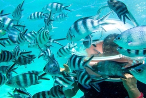 Прогулка по морю на Маврикии с трансфером