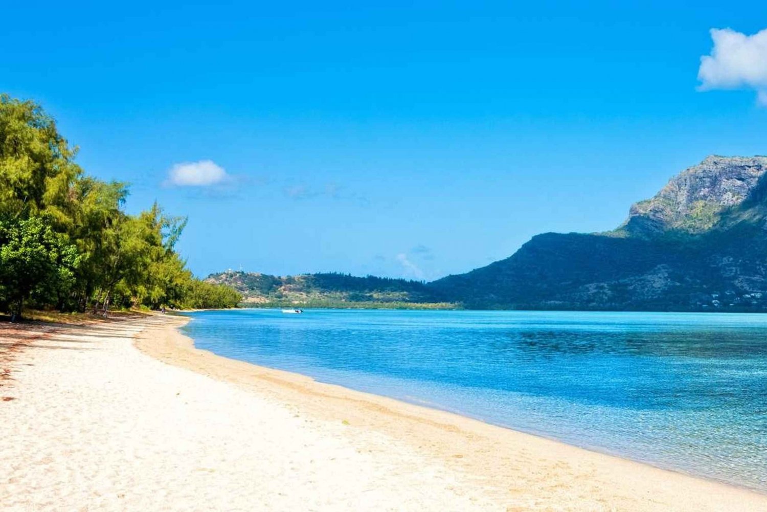 Mauritius West Coast DolphinSwim, CrystalRock i lunch