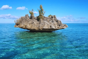 Nage avec les dauphins sur la côte ouest de l'île Maurice, rocher de cristal et déjeuner
