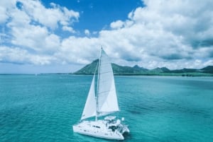 Nage avec les dauphins sur la côte ouest de l'île Maurice, rocher de cristal et déjeuner