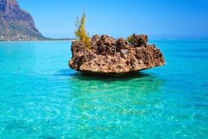 Nage avec les dauphins sur la côte ouest de l'île Maurice, rocher de cristal et déjeuner