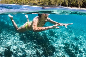 West: Swim wz dolphins, Crystal Rock, Lunch Benitiers island