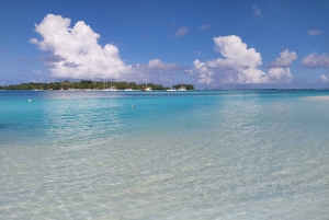 West: Swim wz dolphins, Crystal Rock, Lunch Benitiers island