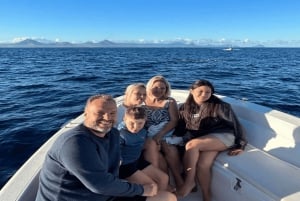 Natação com baleias e golfinhos - Excursão exclusiva em lancha particular