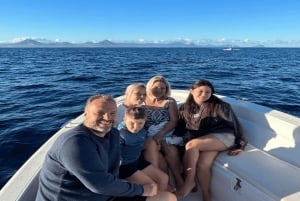 Hval- og delfinsvømning - eksklusiv privat tur med speedbåd