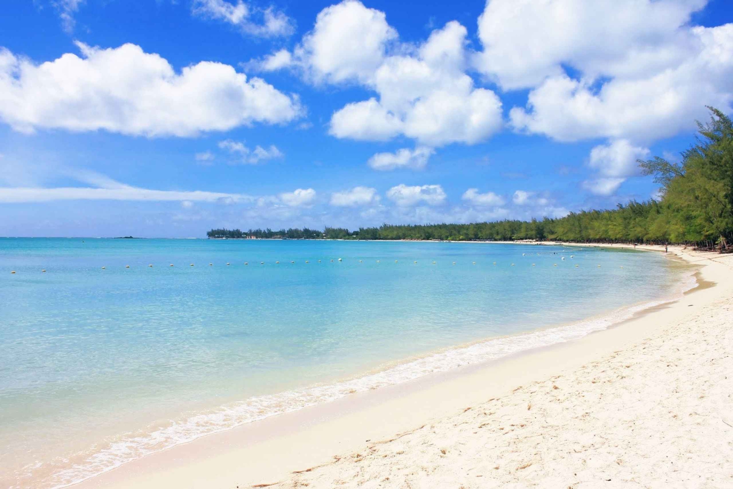 Nuoto con i delfini selvatici e 4 spiagge del nord con trasporto