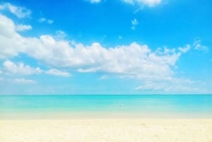 Nuoto con i delfini selvatici e 4 spiagge del nord con trasporto