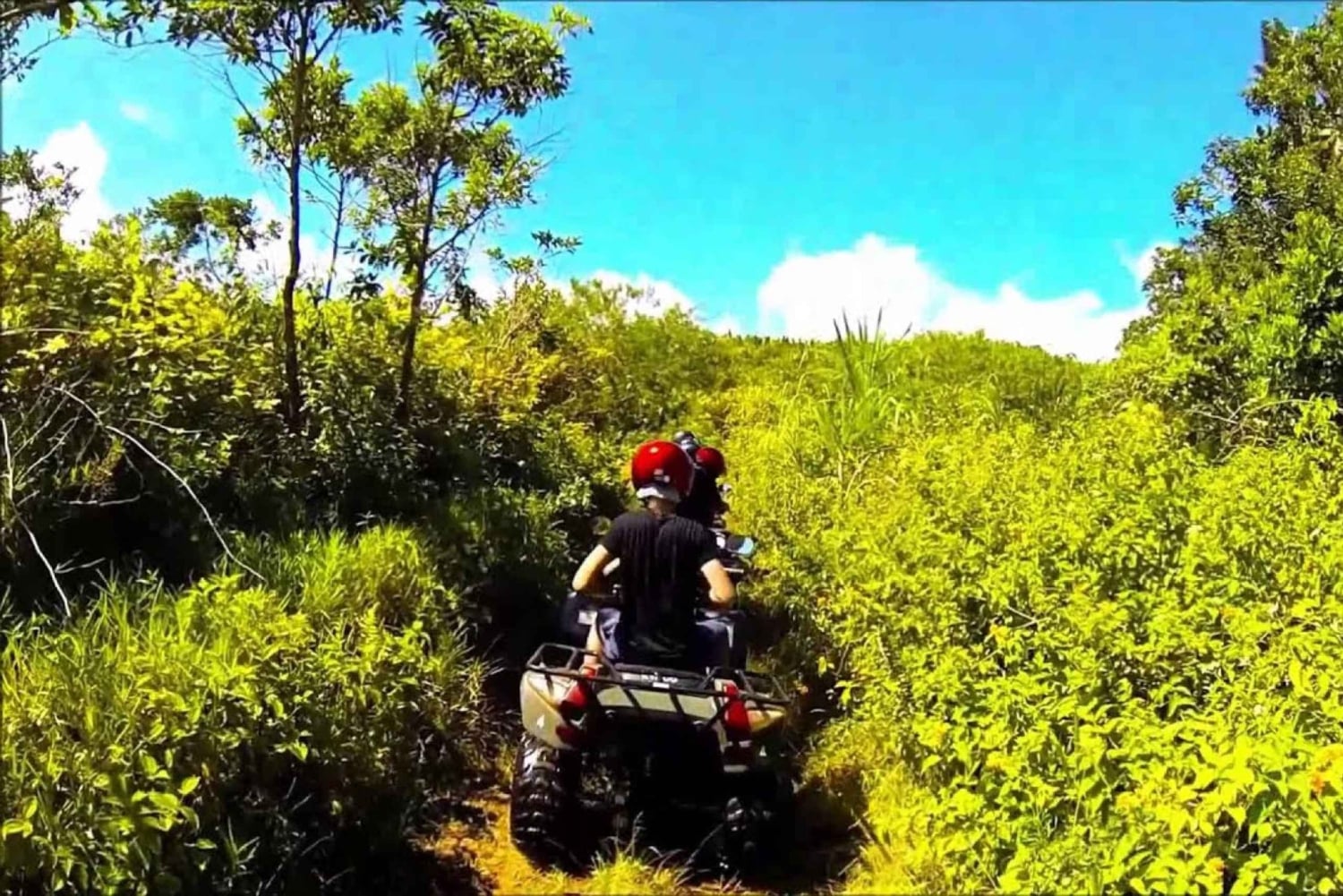 Wild East: Full day tour including Quad-Bike & Lunch