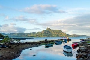 Wild East: Full day tour including Quad-Bike & Lunch