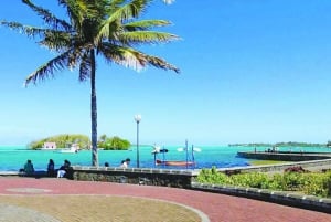 Wild East: Full day tour including Quad-Bike & Lunch