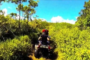 Wild East: Full day tour including Quad-Bike & Lunch