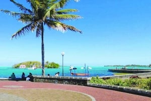 Wild East: Full day tour including Quad-Bike & Lunch