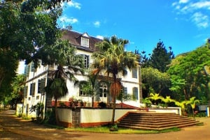 Wild East: Full day tour including Quad-Bike & Lunch