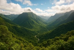 Тур по дикому югу: откройте для себя природную красоту Маврикия