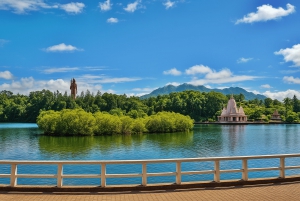 Тур по дикому югу: откройте для себя природную красоту Маврикия