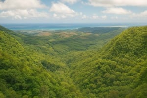 Тур по дикому югу: откройте для себя природную красоту Маврикия