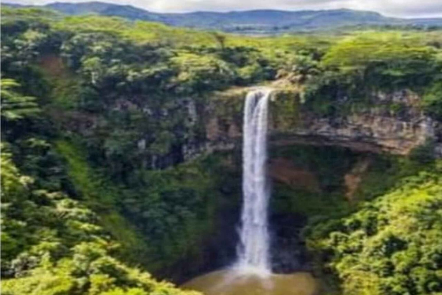 Wild South West Private Tour with pick up