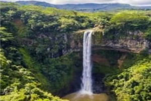 Wild South West Private Tour with pick up