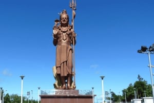 Wild South West Private Tour with pick up