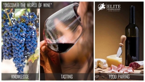 Discover the World of Wine