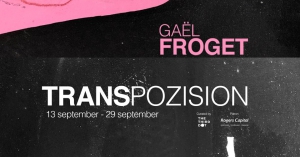 Gael Froget Solo Exhibition TRANSPOZISION