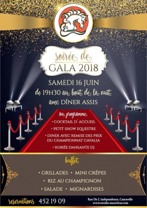 Gala 2018 of Cavalia