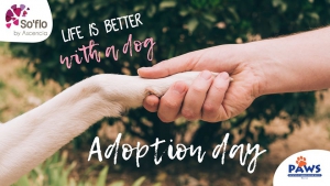 PAWS Adoption Day at So'flo