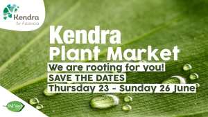 Plant Market at Kendra Saint Pierre