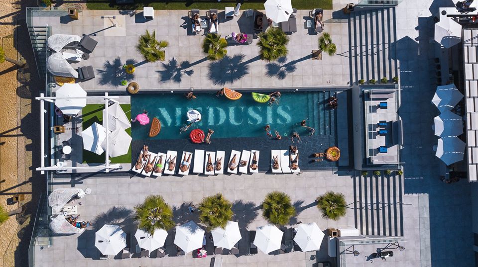 Medusis is open!