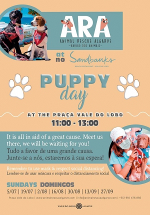 ARA Puppy Day at Sandbanks