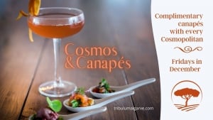 Cosmos & Canapés at Tribulum
