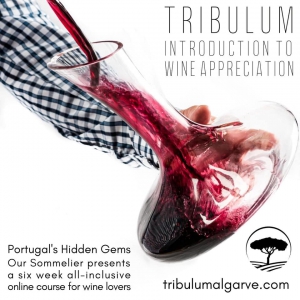 Tribulum - Introduction to Wine Appreciation