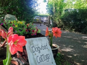 Top Camping Locations in Sussex