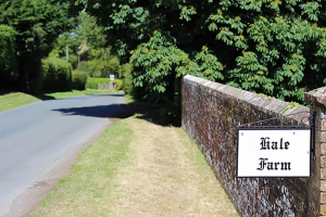 Top Camping Locations in Sussex