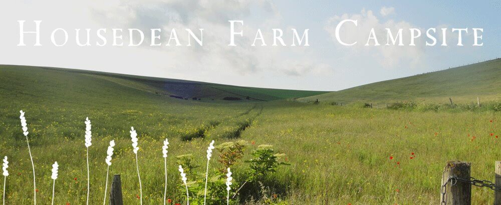 House Dean Farm Campsite
